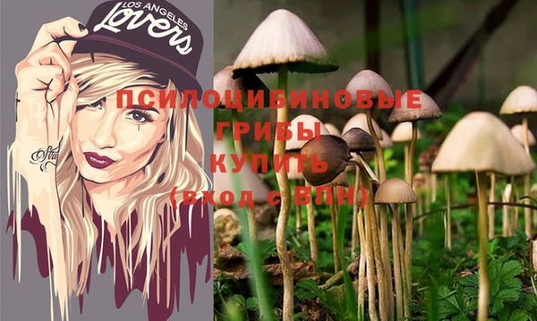 шишки Лихославль